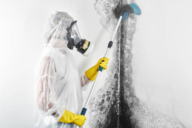 Best Post-Remediation Verification Testing  in Midway South, TX