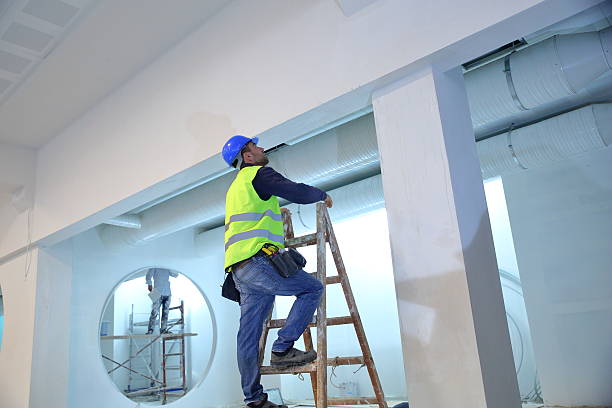 Best Black Mold Removal  in Midway South, TX
